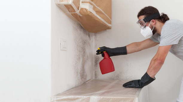 Professional Mold Inspection And Testing technician working in Carle Place, NY